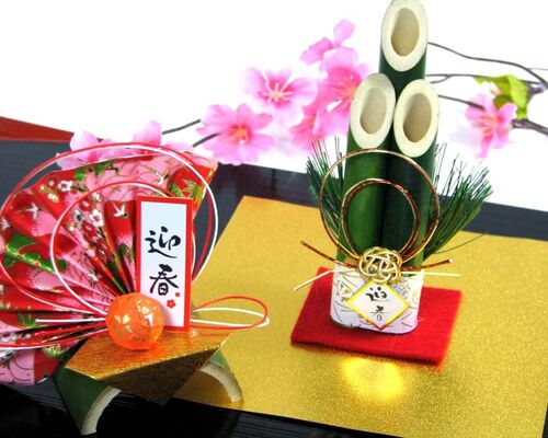 迎春　画像